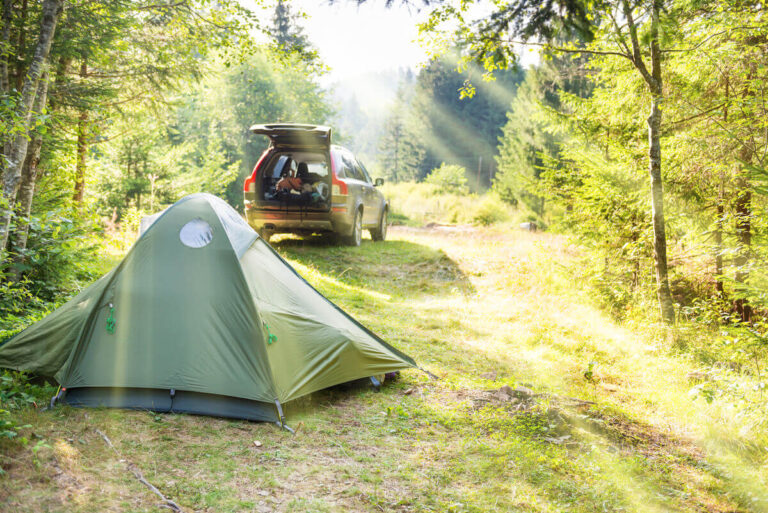 What NOT To Bring Camping (And What To Bring Instead)