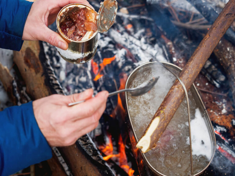 Outdoor Cooking For Beginners: Tips For Your Camping Trip