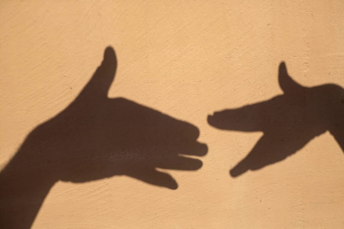 two hands making shadow puppets.