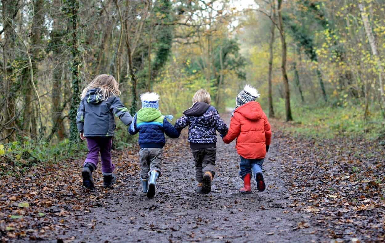 four kids walking on path through forest.