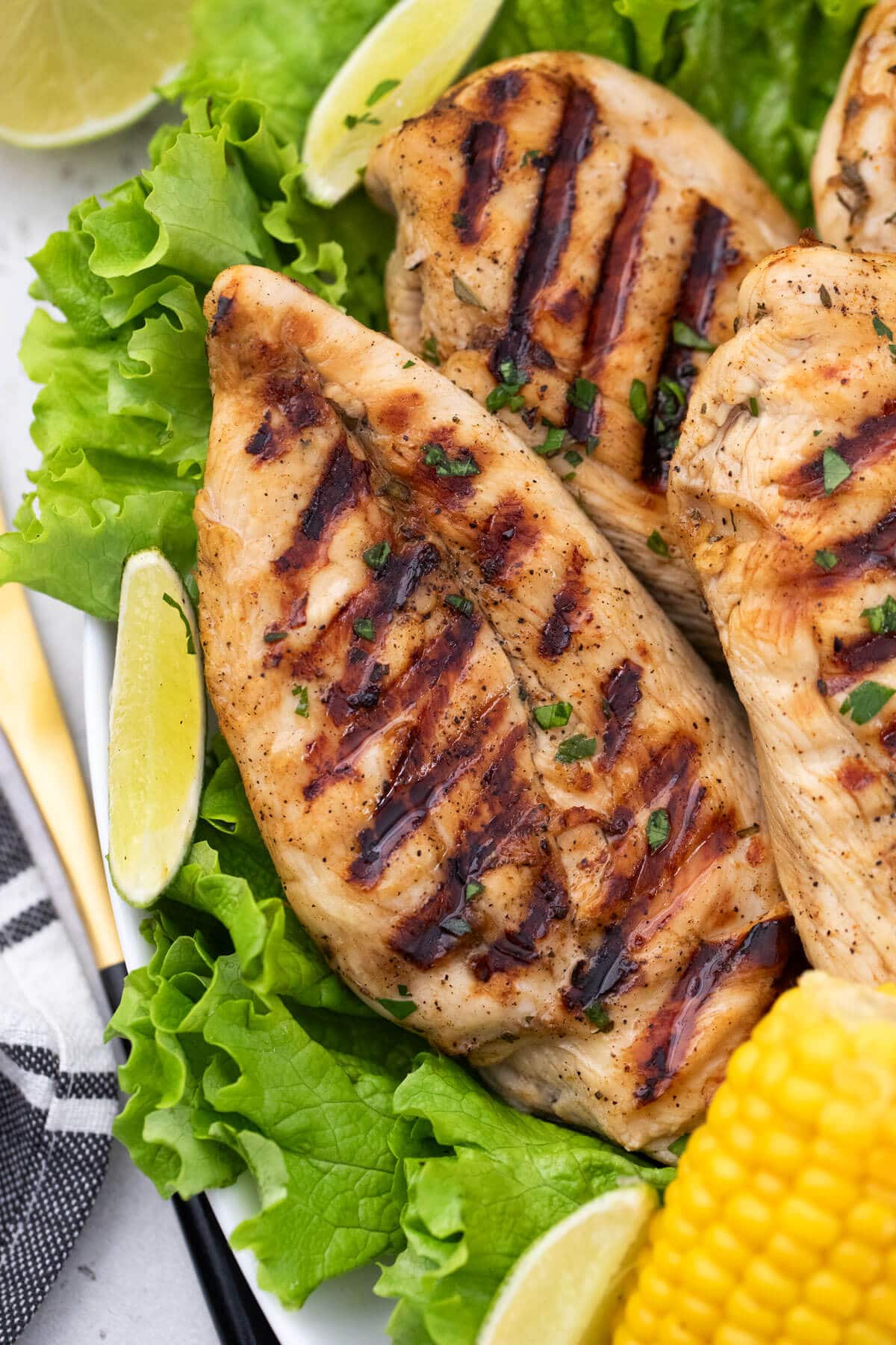 grilled chicken breasts marinated in guinness beer on a bed of lettuce.