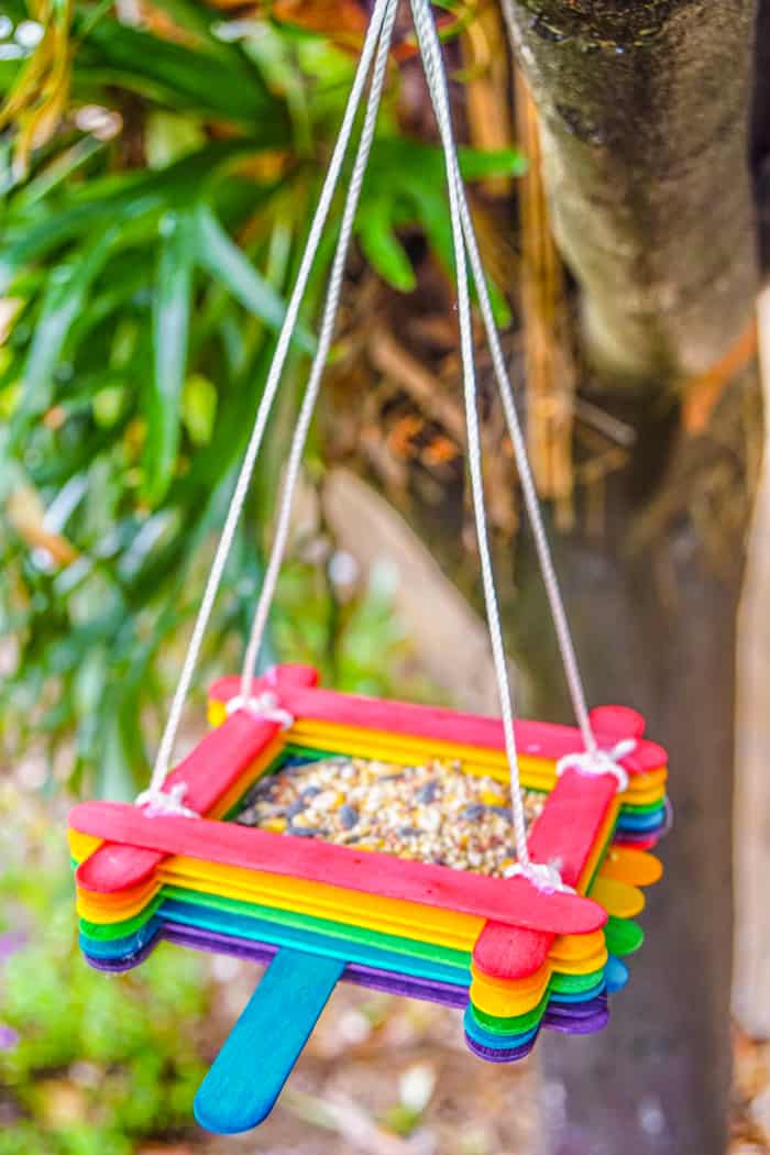 rainbow bird feeder craft hanging from tree.