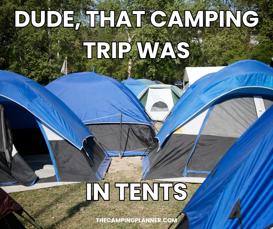 dude, that camping trip was in tents pun.